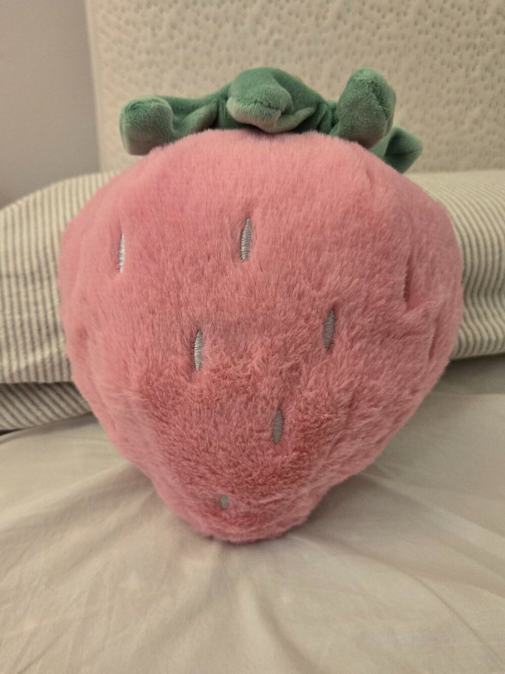 NEW Pink Strawberry Plush 🍓